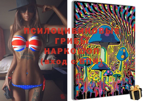 мдпв Белокуриха
